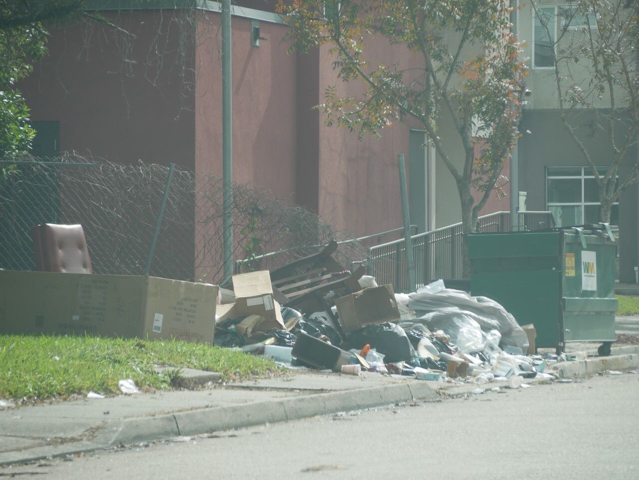 litter 6.jpg